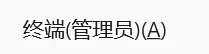 打开终端管理员